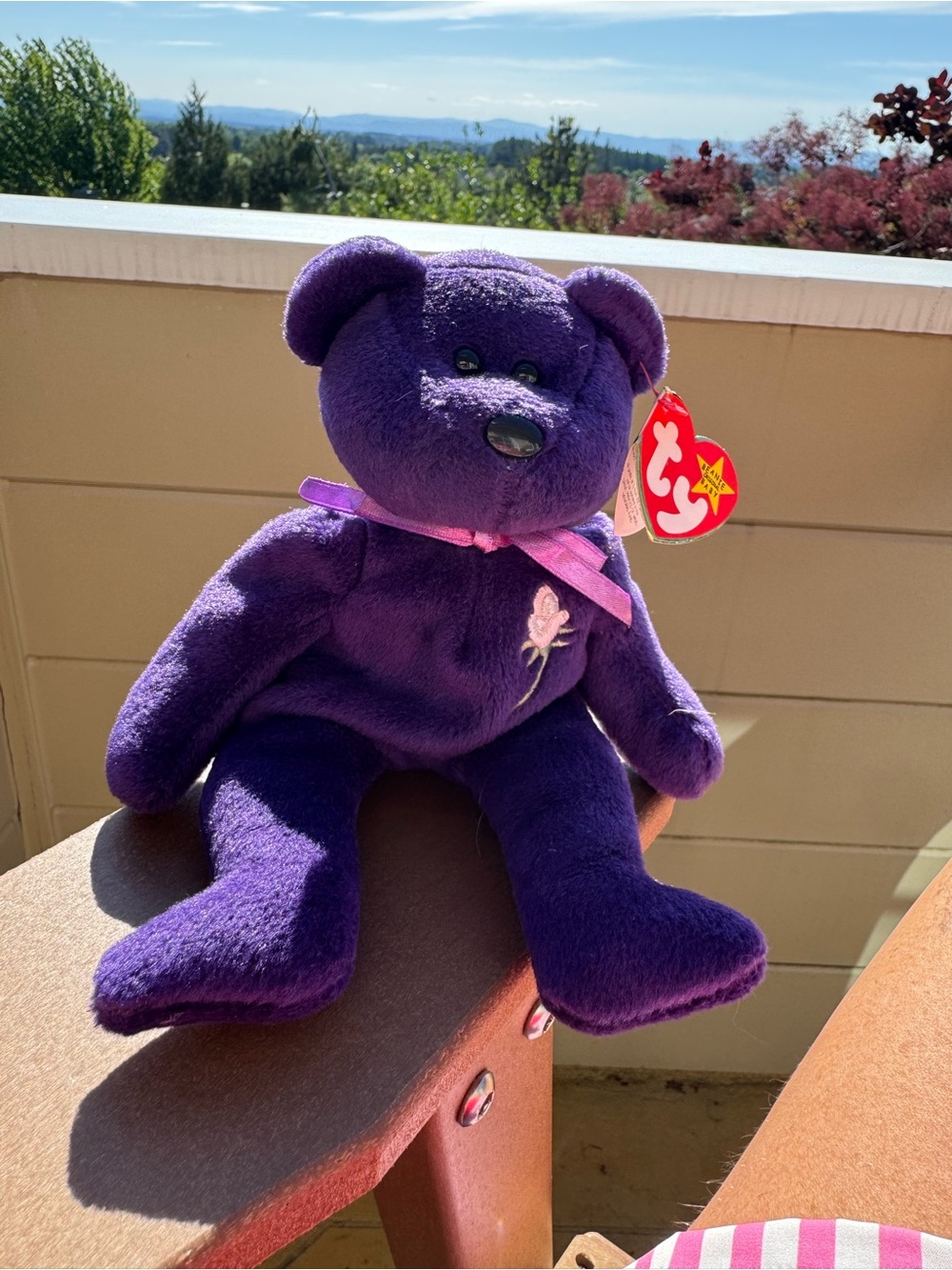ty Diana Princess of Wales Beanie Babies Collection, 1997